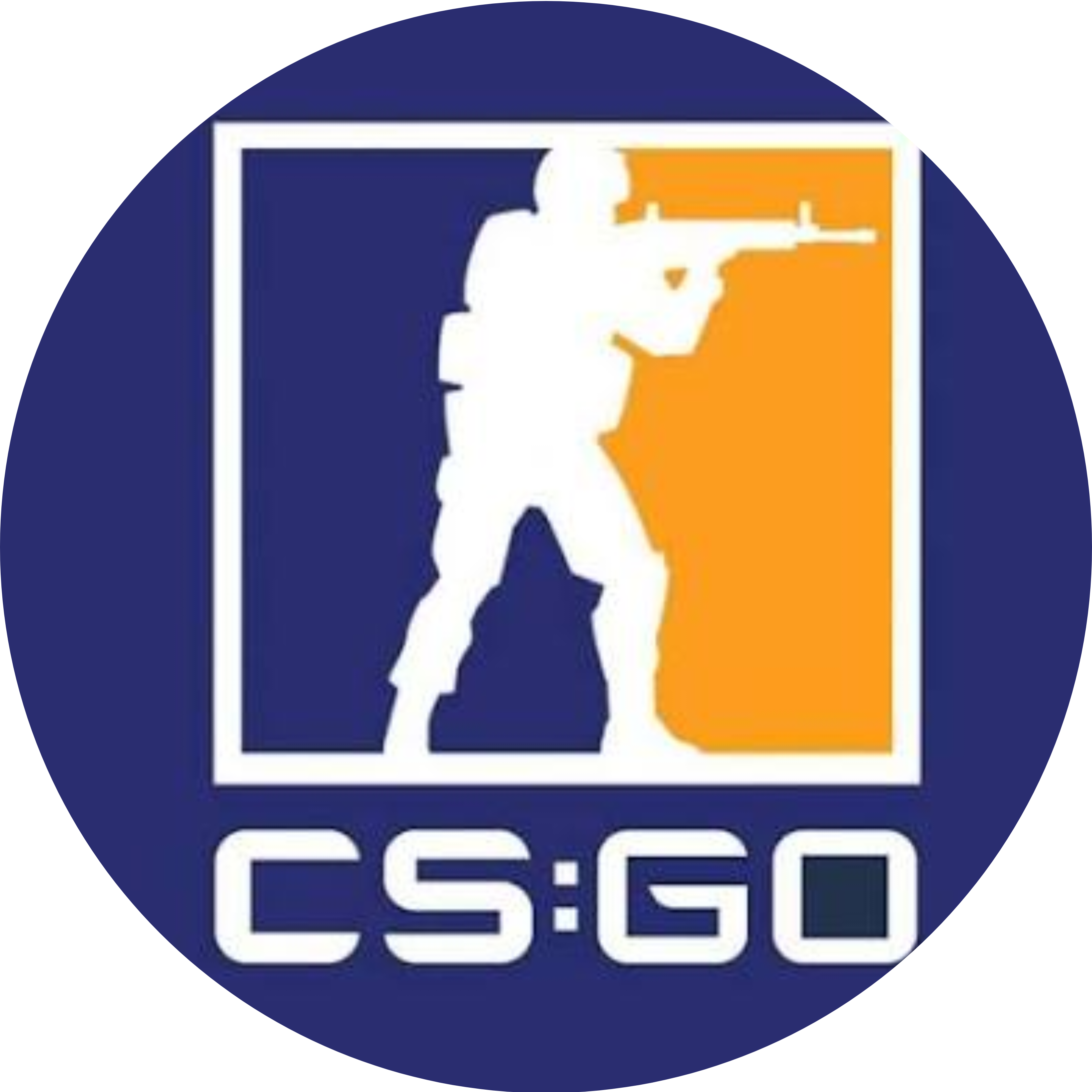 CS:GO